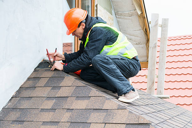 Best Roof Leak Repair  in South Barrington, IL